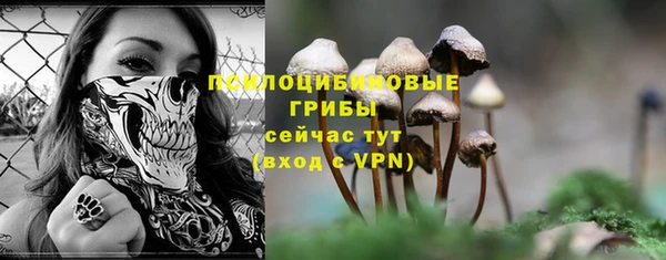 МДПВ Нефтекумск