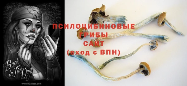 винт Балахна