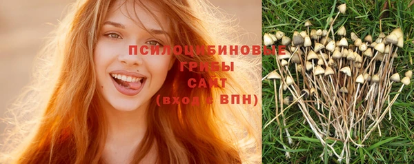 стаф Балабаново
