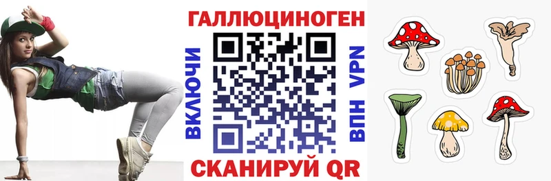 Псилоцибиновые грибы прущие грибы  купить закладку  Ногинск 