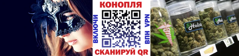 Бошки марихуана ГИДРОПОН Ногинск